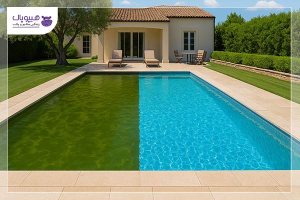 از بین بردن جلبک استخر