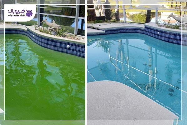 تمیز کردن آب استخر