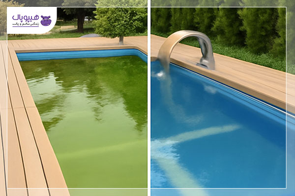 چگونه آب کثیف استخر را تمیز کنیم